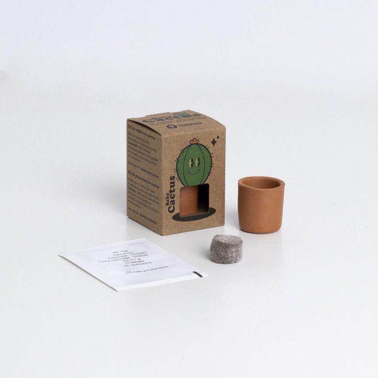 Resetea Baby Cactus (Multi) - Panache (Koksijde)