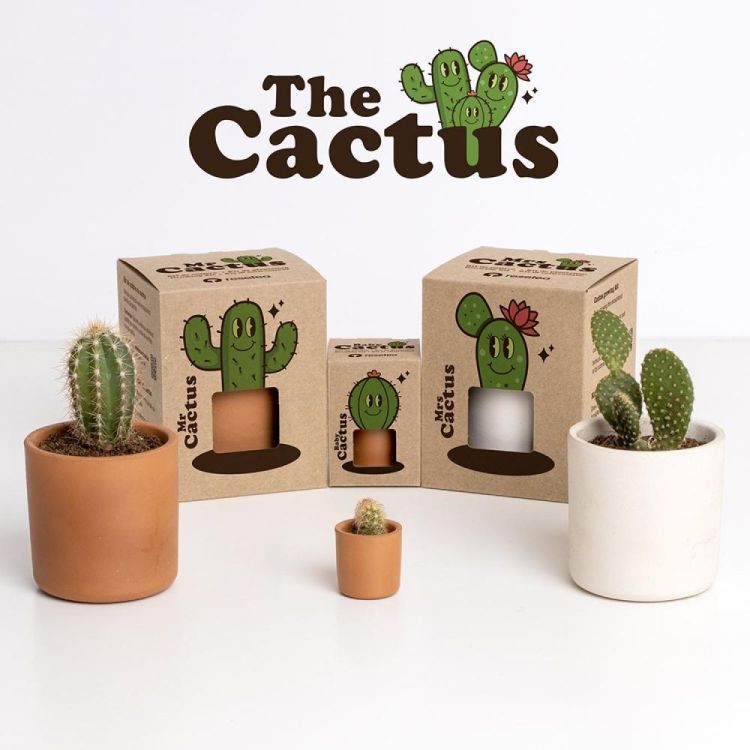 Resetea Baby Cactus (Multi) - Panache (Koksijde)