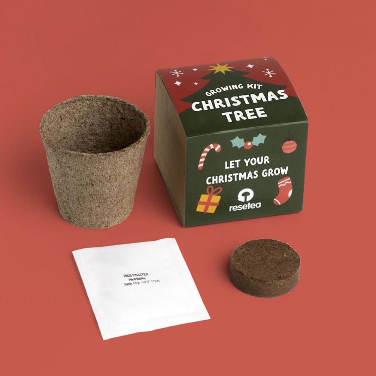Resetea Kerstboom groeikit () - Panache (Koksijde)