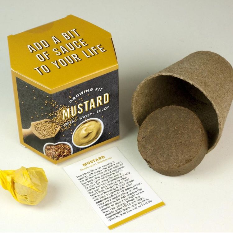 Resetea Kweekset Mosterdplant () - Panache (Koksijde)