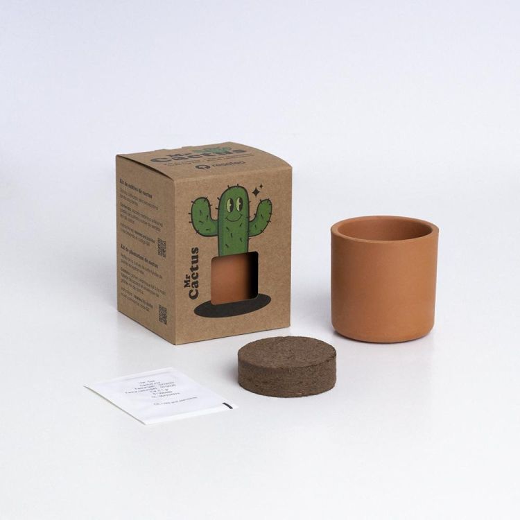 Resetea Mr Cactus (Multi) - Panache (Koksijde)