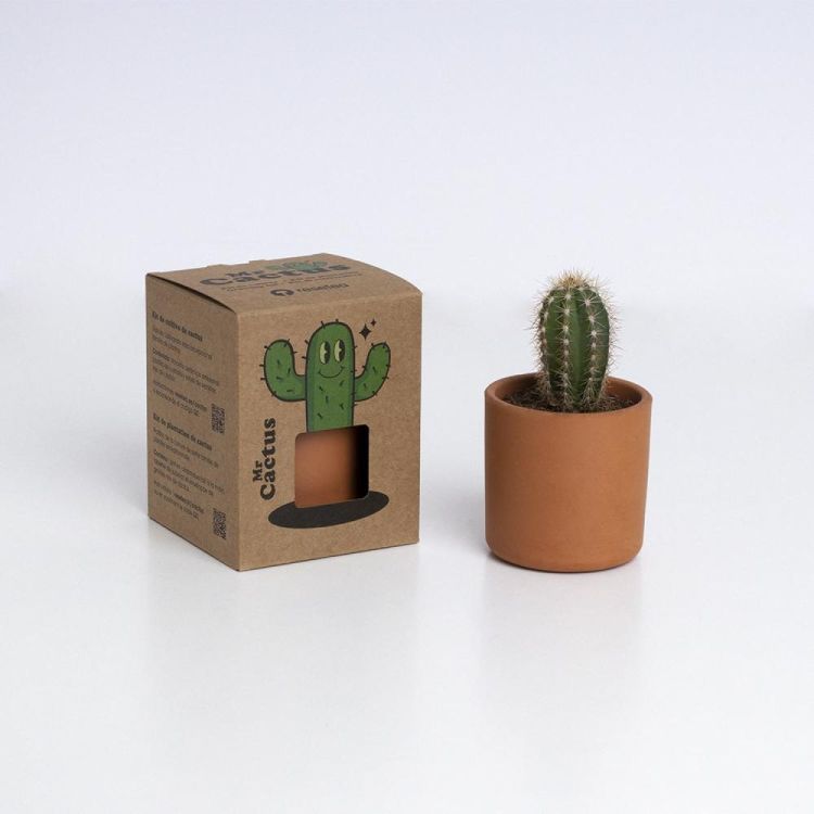 Resetea Mr Cactus (Multi) - Panache (Koksijde)