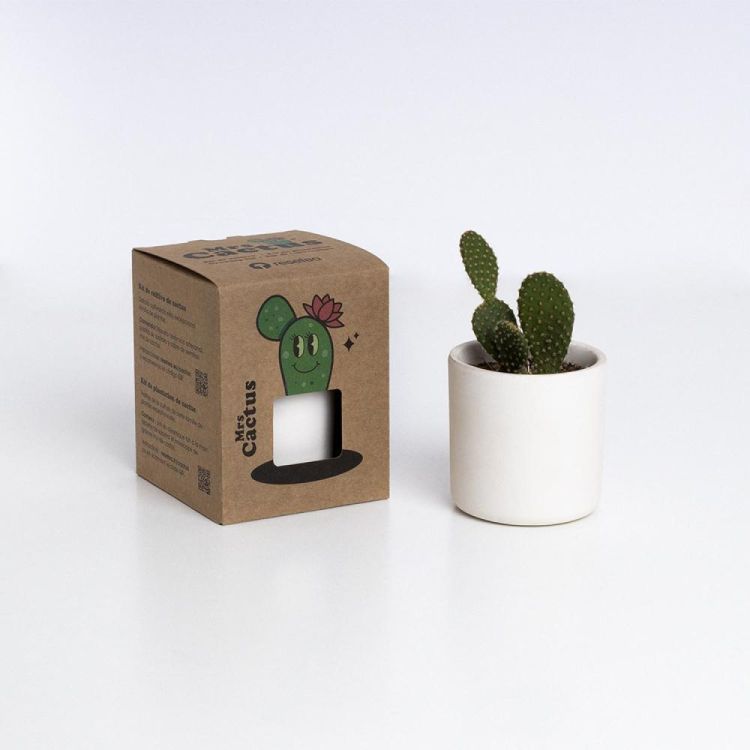 Resetea Mrs Cactus (Multi) - Panache (Koksijde)