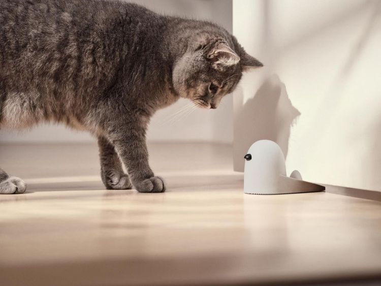 Rig-Tig Deurstop BOB (Light Grey) - Panache (Koksijde)