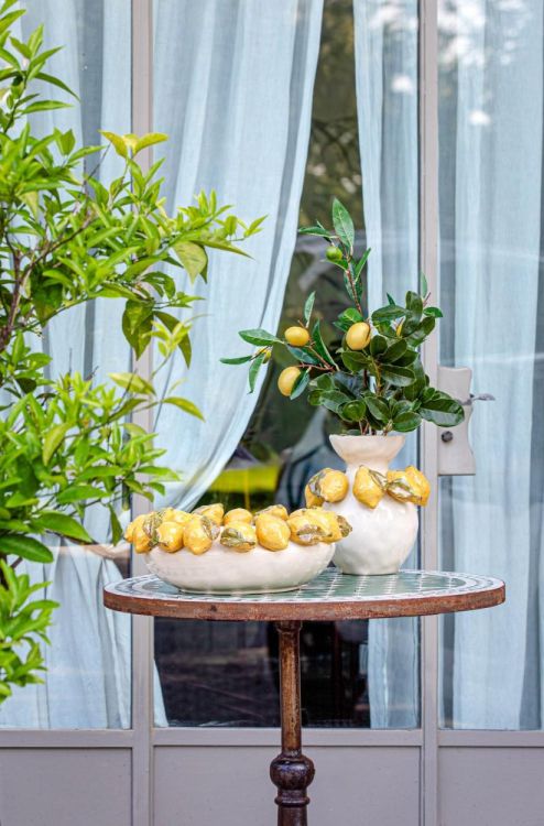 Rituali Domestici Coupe Citrons (Geel) - Panache (Koksijde)