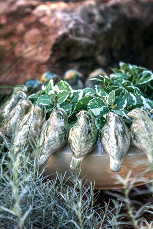 Rituali Domestici Sierschaal vogels (Groen) - Panache (Koksijde)