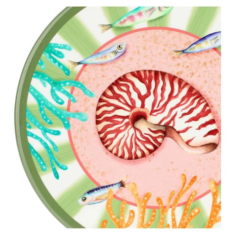 Rose & Tulipani Potonderzetter 20cm - Litorale (Multi) - Panache (Koksijde)