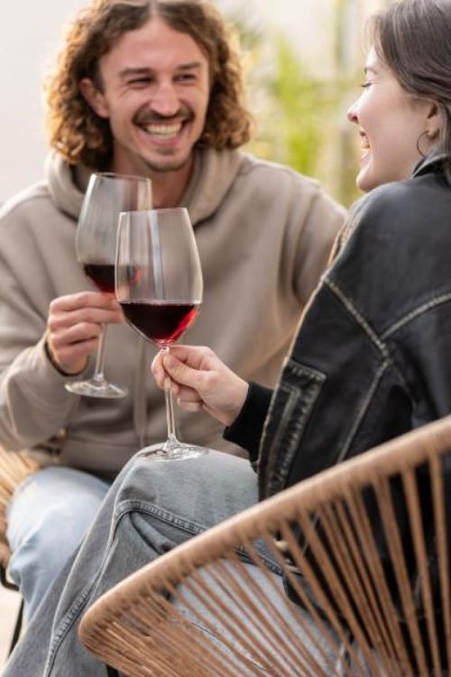 Schott Zwiesel 4 Vinos Bordeaux glazen (Transparant) - Panache (Koksijde)