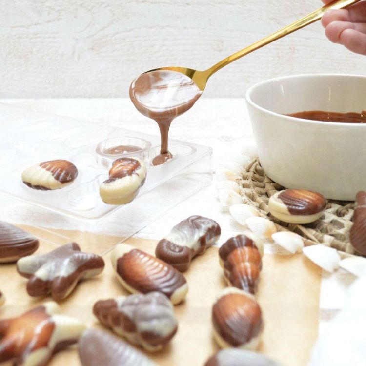 Scrap Cooking Vorm zeevruchten hard () - Panache (Koksijde)