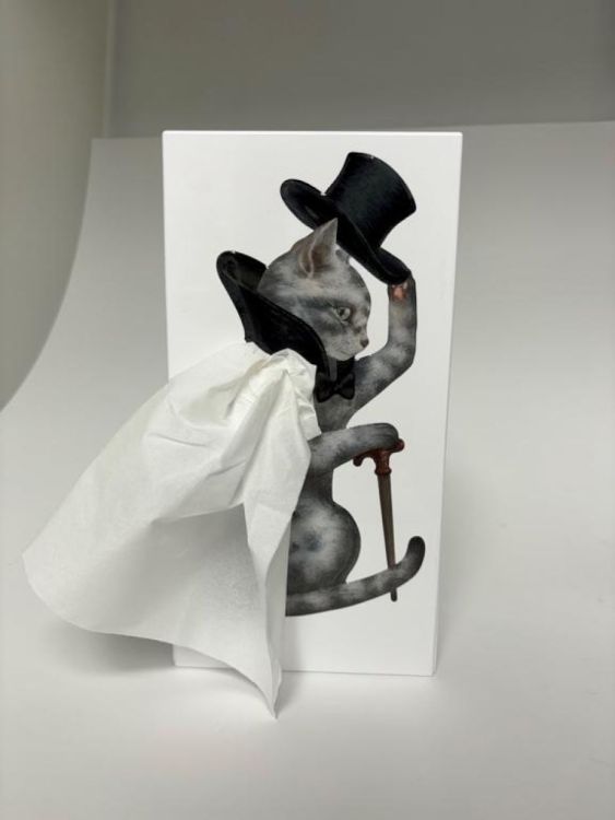 Spextrum Tissue Up Tale - Cat (Multi) - Panache (Koksijde)