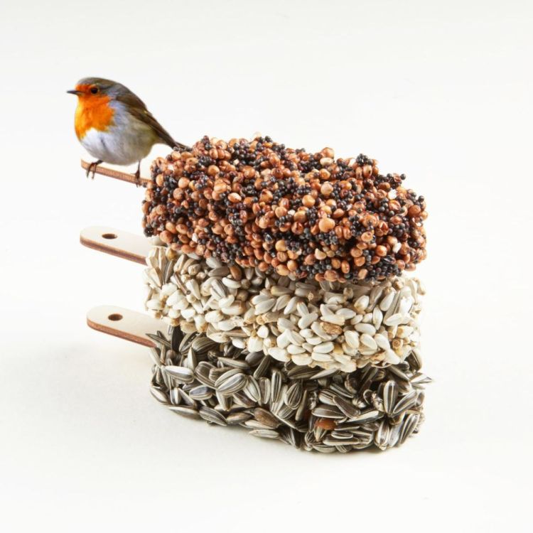 Studio Carmela Bogman Crunchy Crunchy - Desserts for Birds (Multi) - Panache (Koksijde)