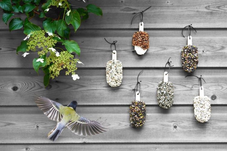 Studio Carmela Bogman Set Delicious Red - Desserts for Birds (Multi) - Panache (Koksijde)