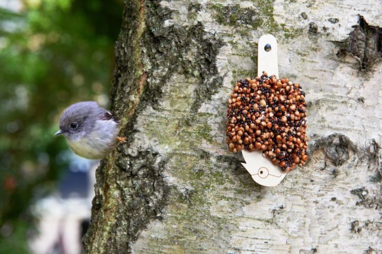 Studio Carmela Bogman Set Delicious Red - Desserts for Birds (Multi) - Panache (Koksijde)