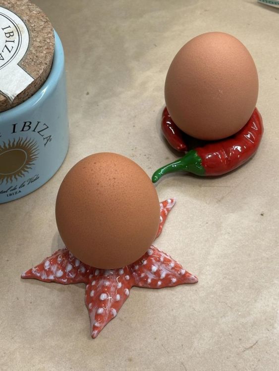 Studio Noticed Eierdopje Zeester (Oranje) - Panache (Koksijde)