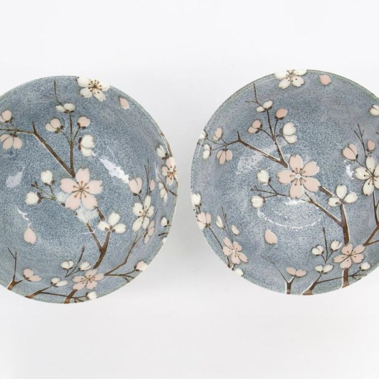 Tokyo Design Studio Fujisakura Ramen set 21cm 1000ml (Blue) - Panache (Koksijde)