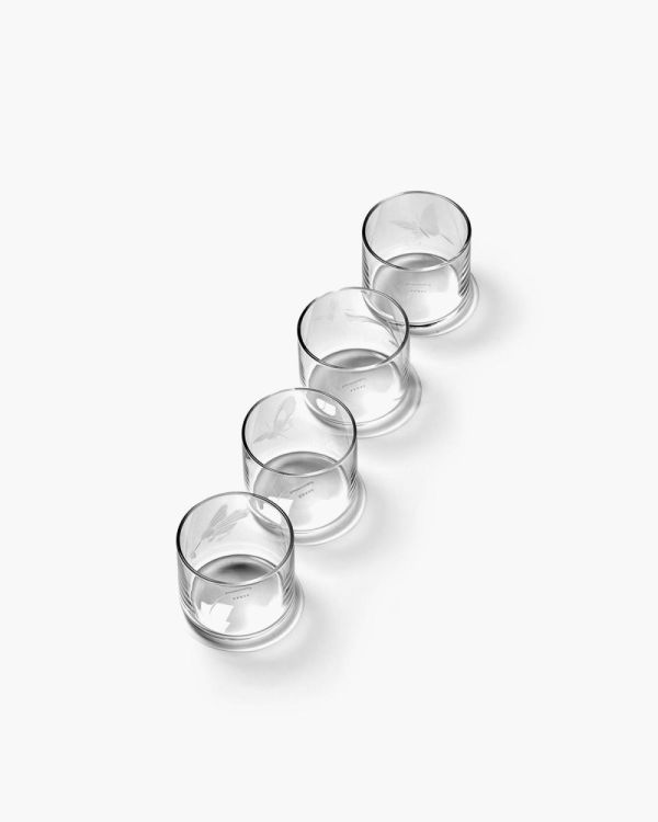 Tomorrowland 4 shotglazen gegraveerd - Unity (Transparant) - Panache (Koksijde)