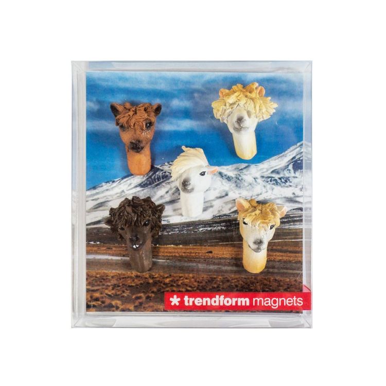 Trendform Magnet Alpaca 5pcs (Multi) - Panache (Koksijde)