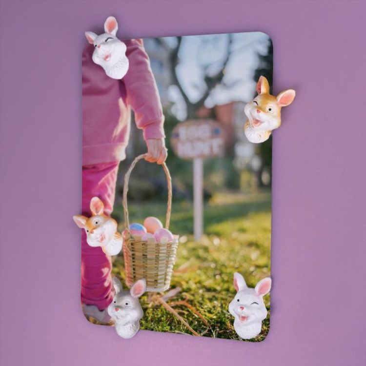 Trendform Magnet Bunny 5 pcs (Multi) - Panache (Koksijde)