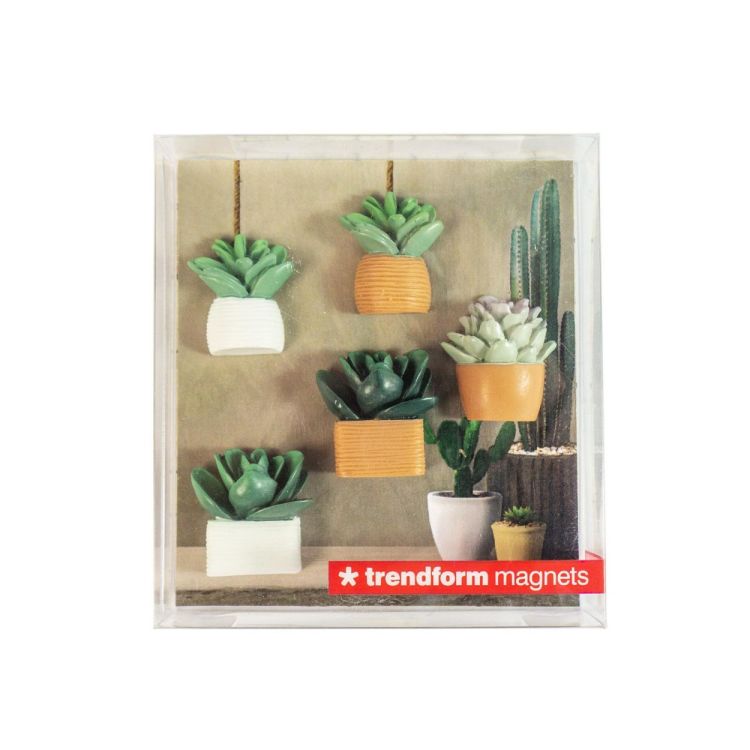 Trendform Magnet Cactus 5pcs (Multi) - Panache (Koksijde)