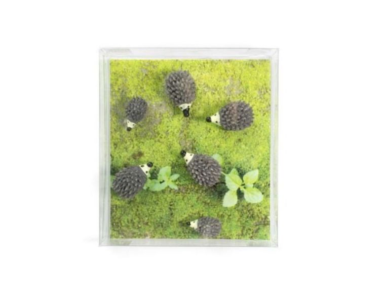 Trendform Magnet Hedgehog 6pcs (Grijs) - Panache (Koksijde)