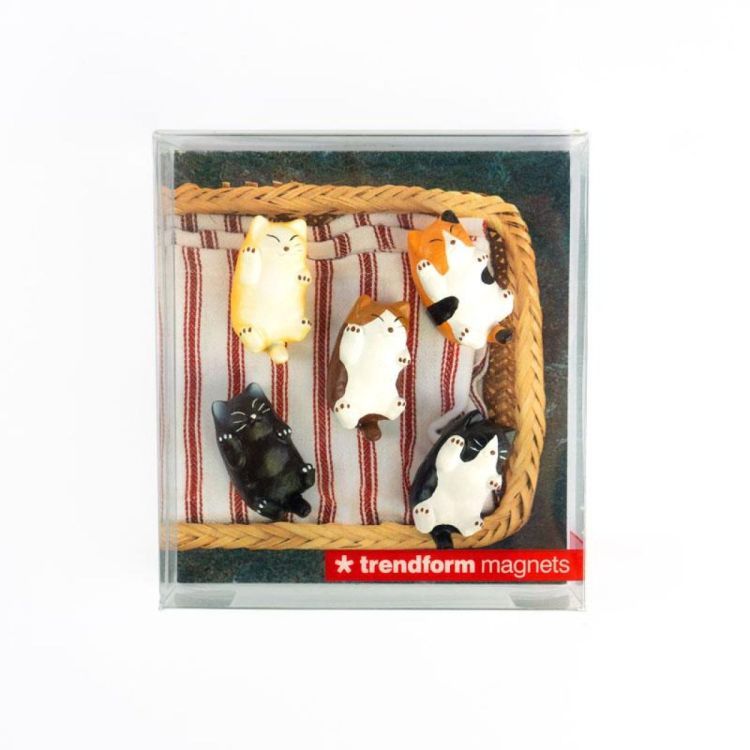 Trendform Magnet Kitty 5pcs (Multi) - Panache (Koksijde)