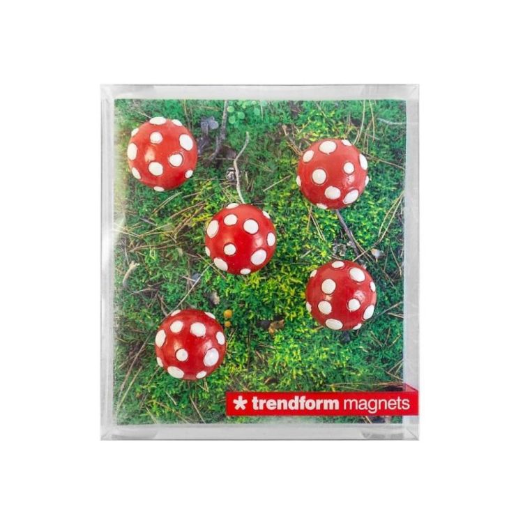 Trendform Magnet Mushroom 5pcs (Multi) - Panache (Koksijde)