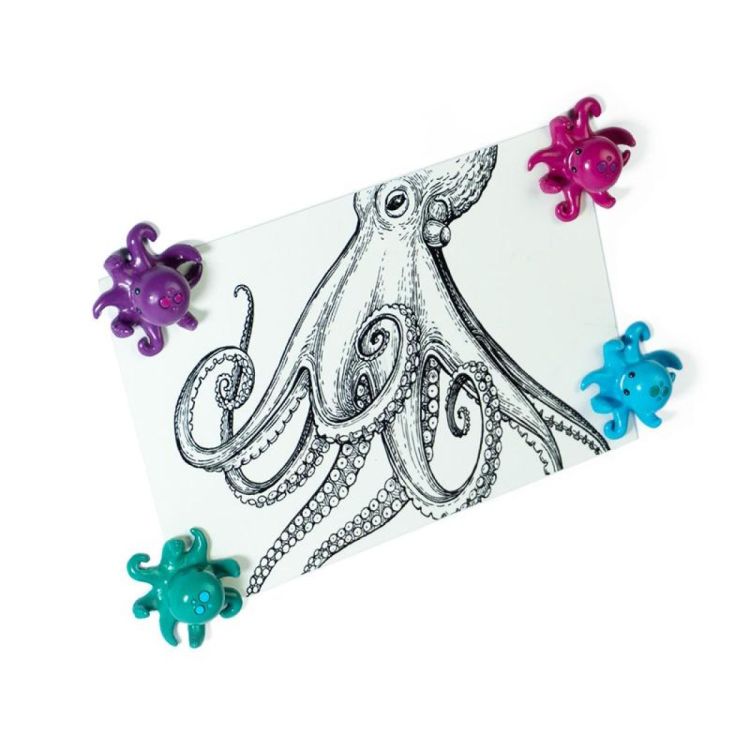 Trendform Magnet Octopus 4pcs (Multi) - Panache (Koksijde)