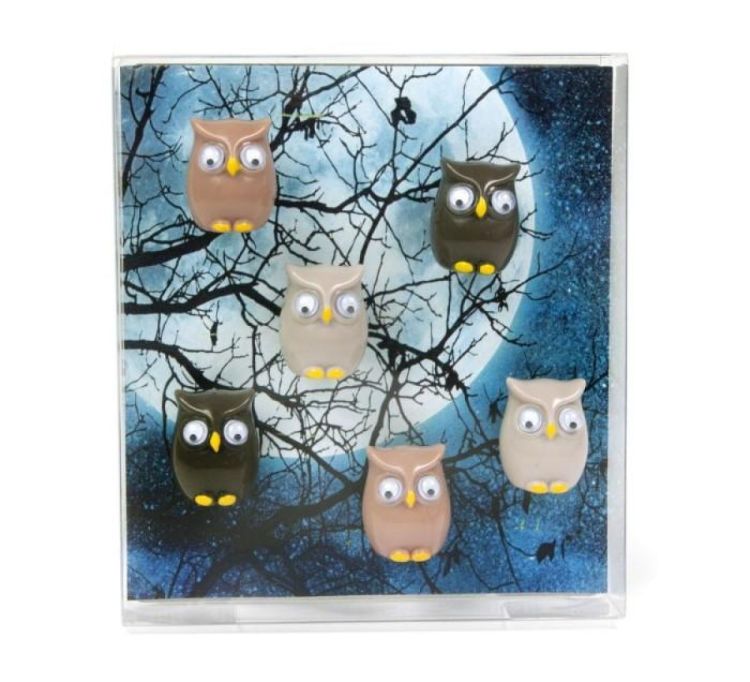 Trendform Magnet Owl 6pcs (Multi) - Panache (Koksijde)