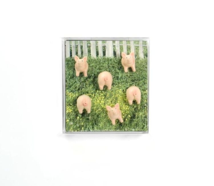 Trendform Magnet Piggy 6pcs (Roze) - Panache (Koksijde)