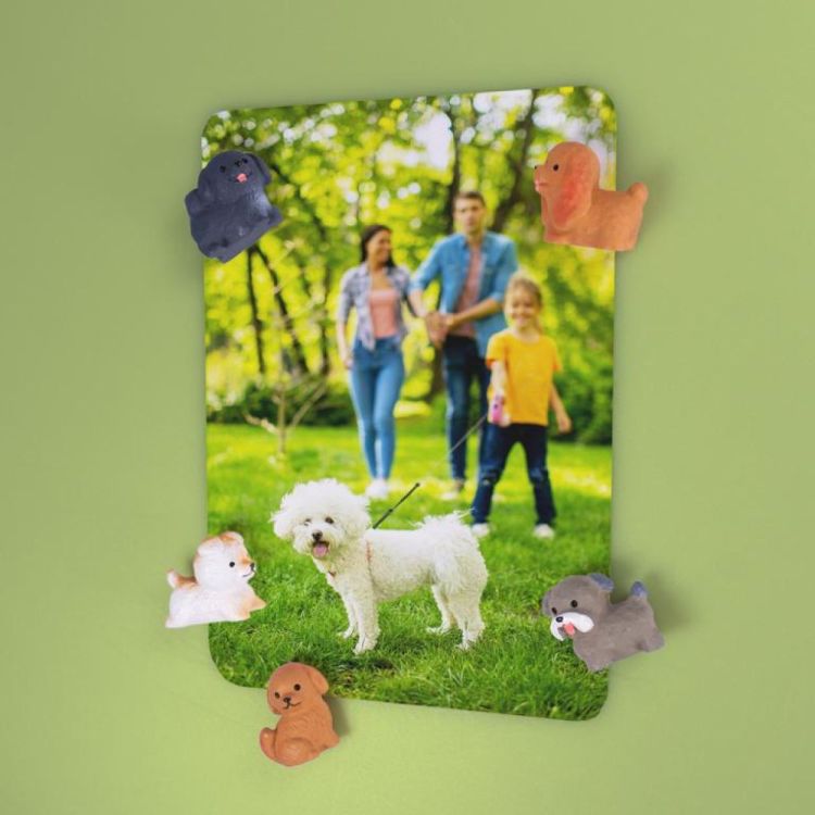 Trendform Magnet Puppy 5 pcs (Multi) - Panache (Koksijde)
