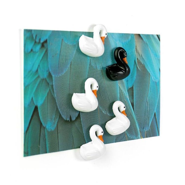 Trendform Magnet Swan 5pcs (Wit) - Panache (Koksijde)