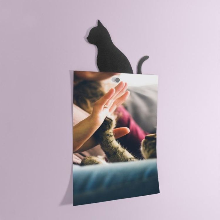 Trendform Self-Adhesive Sticking Surfaces Cat 6 pieces (Zwart) - Panache (Koksijde)