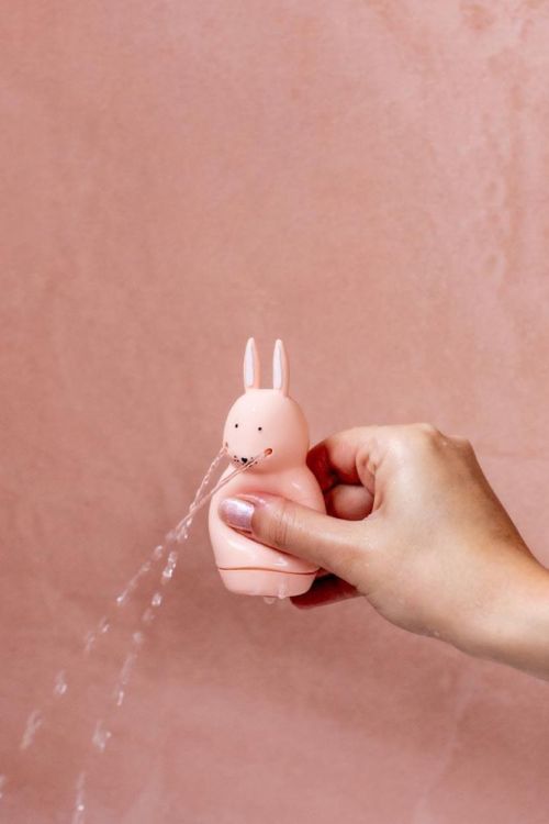 Trixie Jouet de bain animaux à asperger - Mrs. Rabbit & Mr. Fox (Multi) - Panache (Koksijde)