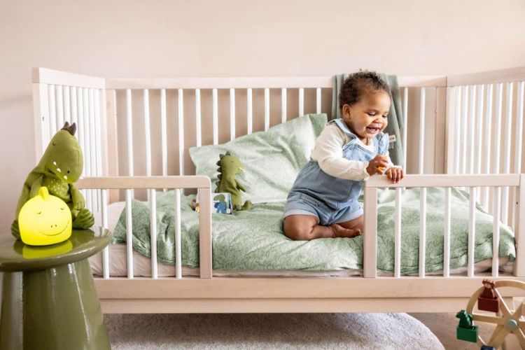 Trixie Nachtlamp - Mr. Dino () - Panache (Koksijde)