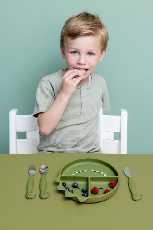 Trixie Siliconen bord met vakjes en zuignap - Mr. Dino () - Panache (Koksijde)