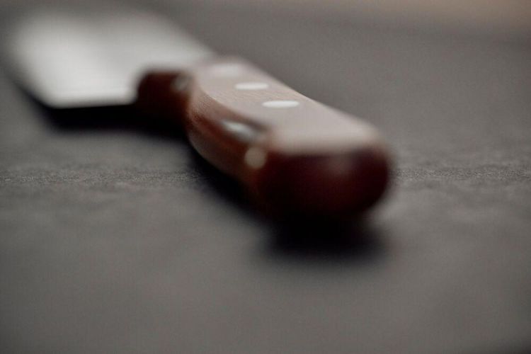 Victorinox Couteau Santoku en bois 17cm (Wood) - Panache (Koksijde)