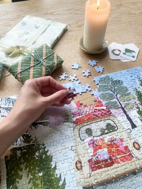 ViSSEVASSE all packed - puzzle 300 pcs (Multi) - Panache (Koksijde)
