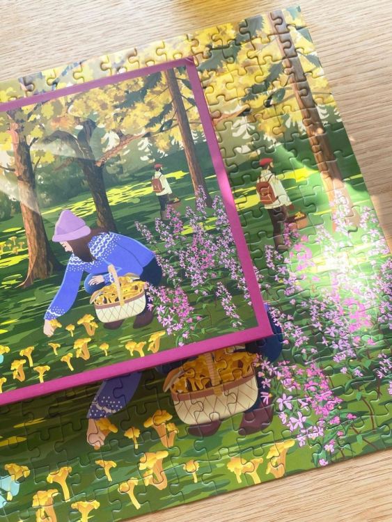 ViSSEVASSE chanterelles - puzzle 300 pcs (Multi) - Panache (Koksijde)