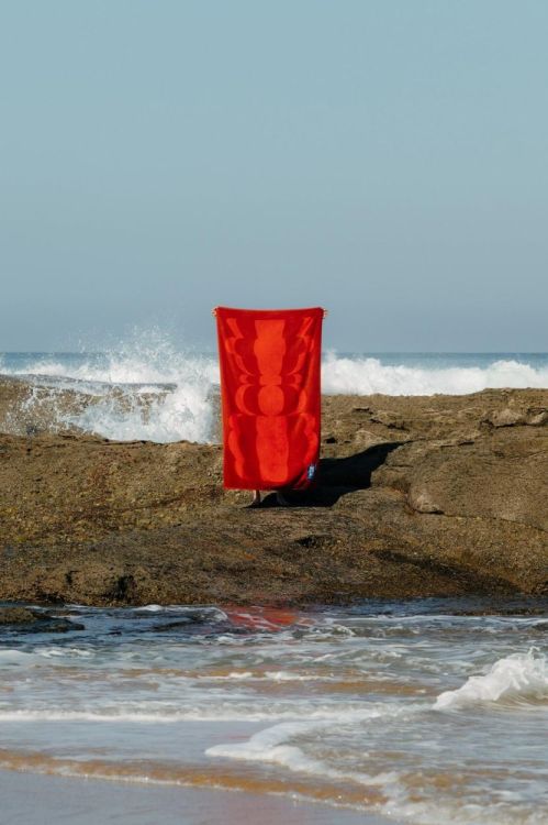 Volver Serviette de plage Vases 100x180cm (Vases) - Panache (Koksijde)