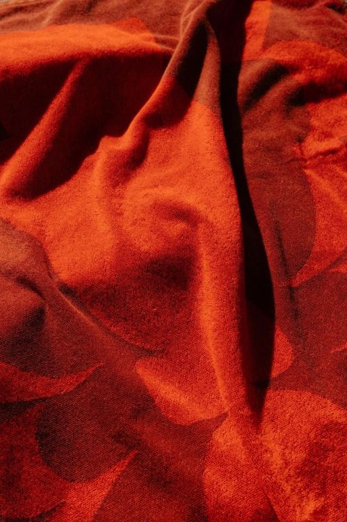 Volver Serviette de plage Vases 100x180cm (Vases) - Panache (Koksijde)