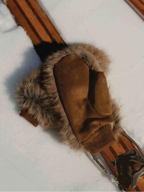 Waro by Plaids Cocooning Handschoenen Fausse Fourrure - contrasté (Marron) - Panache (Koksijde)