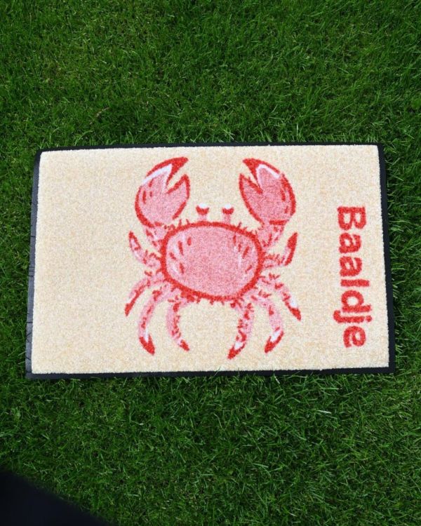 Wash + Dry Floor Fashion Deurmat Baaldje 40x60cm by Panache (Multi) - Panache (Koksijde)