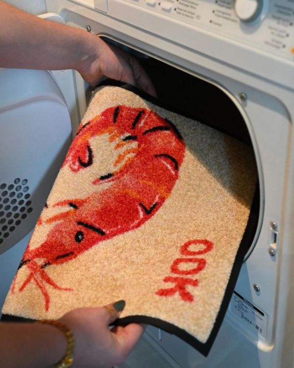 Wash + Dry Floor Fashion Deurmat ODK 40x60cm by Panache (Multi) - Panache (Koksijde)