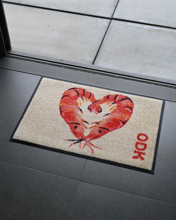 Wash + Dry Floor Fashion Deurmat ODK 40x60cm by Panache (Multi) - Panache (Koksijde)