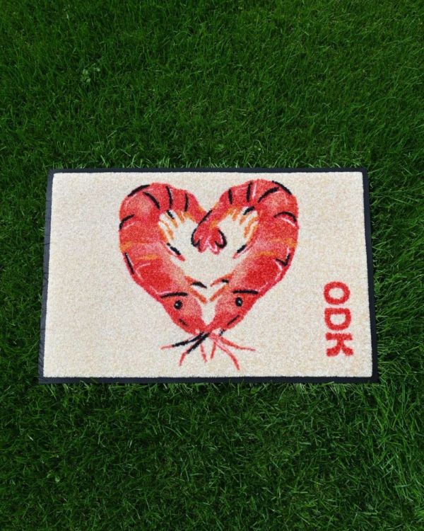 Wash + Dry Floor Fashion Deurmat ODK 40x60cm by Panache (Multi) - Panache (Koksijde)