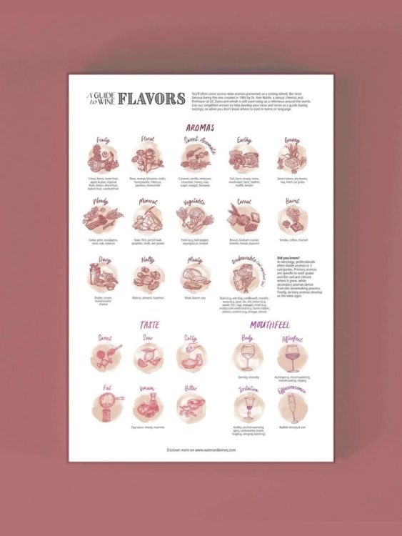 Water & Wines Puzzle Periodic Table of Wine () - Panache (Koksijde)