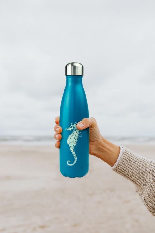 WD Lifestyle Drinkfles Zeepaardje 500ml (Blue) - Panache (Koksijde)