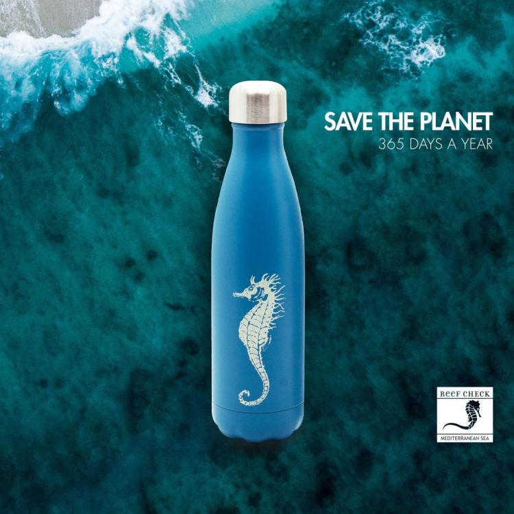 WD Lifestyle Drinkfles Zeepaardje 500ml (Blue) - Panache (Koksijde)