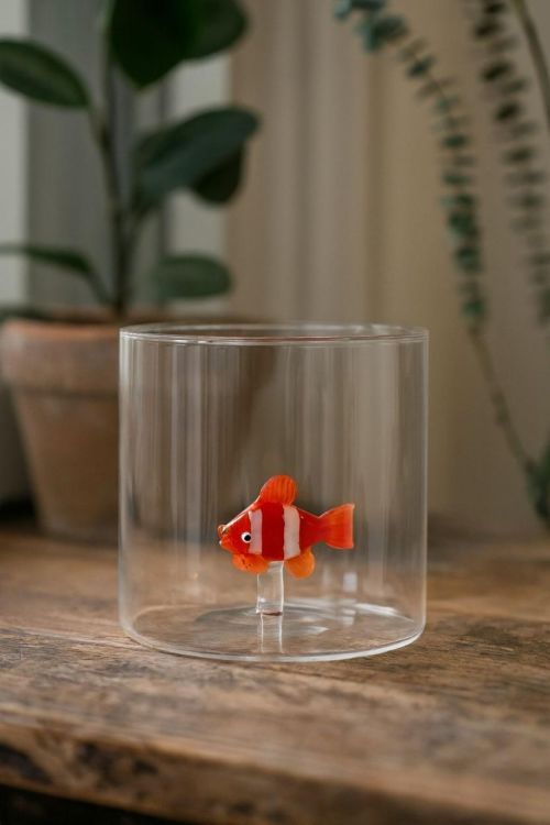 WD Lifestyle Glas Clown vis Nemo (Orange) - Panache (Koksijde)