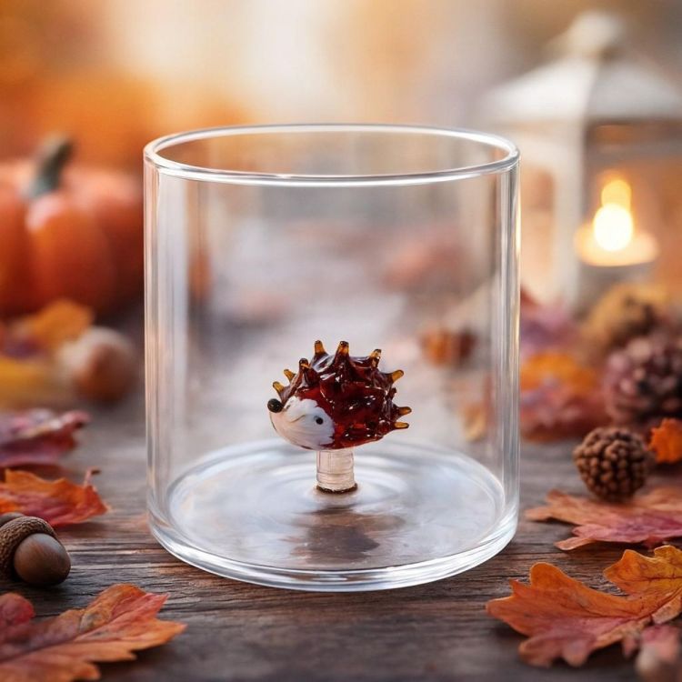 WD Lifestyle Glas Egel (Multi) - Panache (Koksijde)